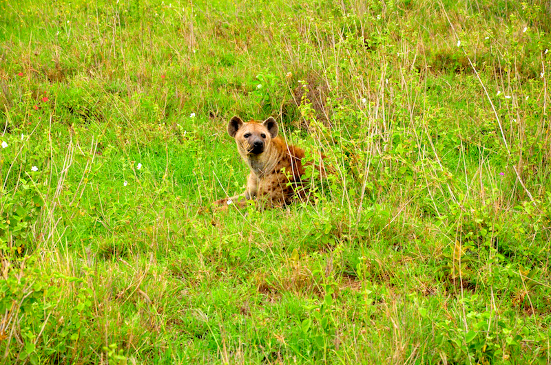 Melanie Heinrich Travel Images Africa